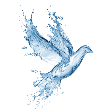 Stilisierte Taube aus Wasser, als Logo verwendet.